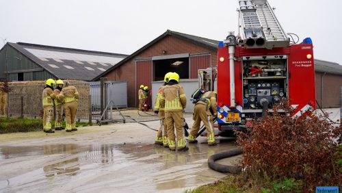 Brand-Heide-Roggel-2