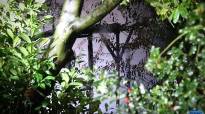 Brand-Scheepsbouwkade-Weert-2