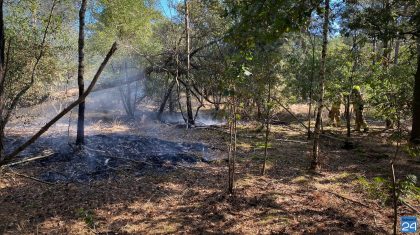 Brand-Schoordijk-2-1