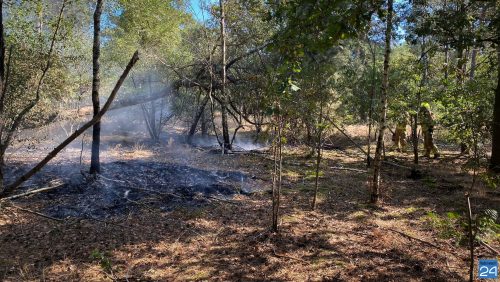 Brand-Schoordijk-2-1