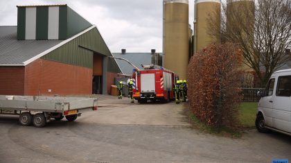 Brand-bij-varkensbedrijf-Ospel