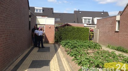 Brand-coniferen-Hinkert-Nederweert-2988