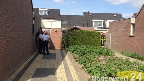 Brand-coniferen-Hinkert-Nederweert-2988