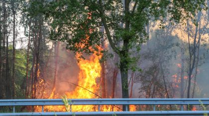 Brand-naast-A2-bij-Weert-1