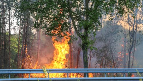 Brand-naast-A2-bij-Weert-1