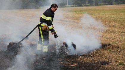 Brandje-Houtsberg-19-8-16-03-