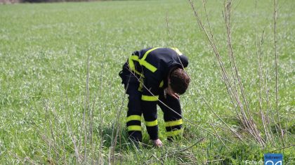 Brandjes Hondsteeg Weert