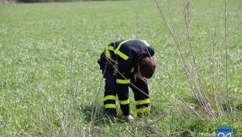 Brandjes Hondsteeg Weert