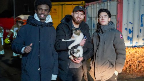 Brandweer-haalt-poes-Noah-uit-zeecontainer-Laurierstraat-nederweert-7