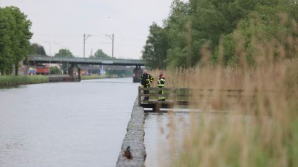 Brandweer-redt-Ree-uit-Zuid-Willemsvaart-Weert-6400 Brandweer-redt-Ree-uit-Zuid-Willemsvaart-Weert-6400