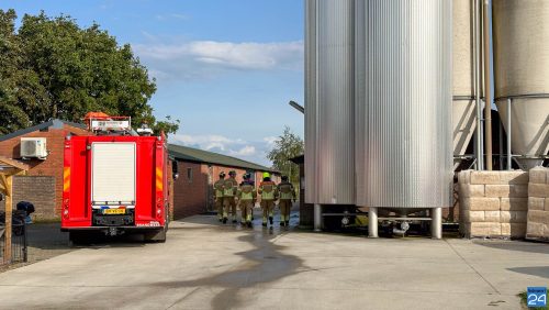 Brandweer-redt-kalveren-in-Weert-1