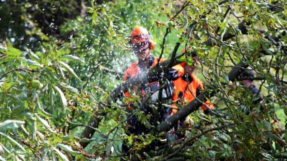Brandweer-rukt-uit-voor-afgebroken-tak-003