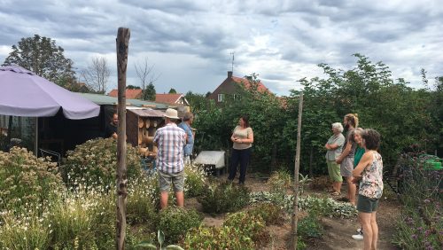 Burgemeester-bezoekt-bijentuin-in-Nederweert