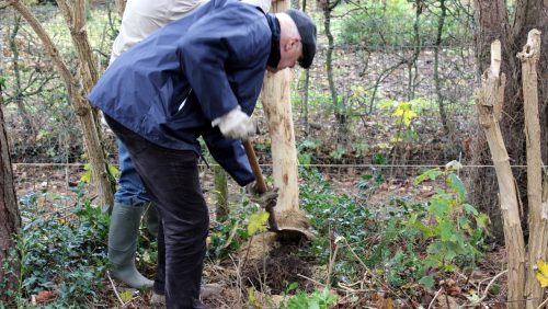 Burgemeester-helpt-bij-aanleg-crossbaan-005