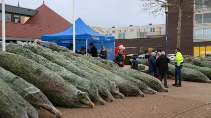 Buurtboom-Nederweert-2022-6