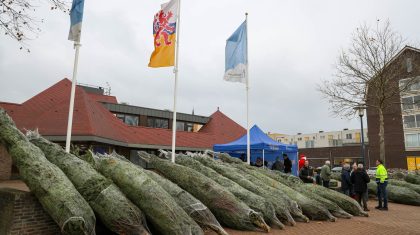 Buurtboom-Nederweert-2022-7 Buurtboom-Nederweert-2022-7