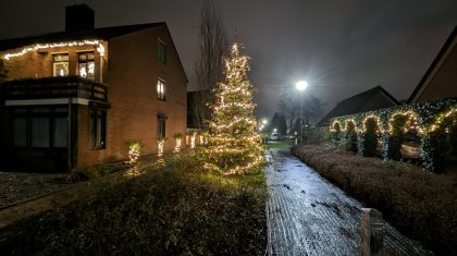 Buurtboom-gemeente-Nederweert-Florastraat Buurtboom-gemeente-Nederweert-Florastraat