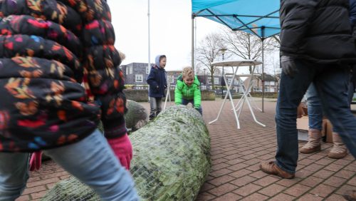 Buurtkerstbomen-Nederweert-11