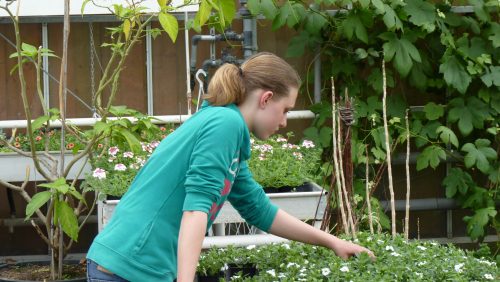 CITAVERDE-College-stimuleert-groene-vingers