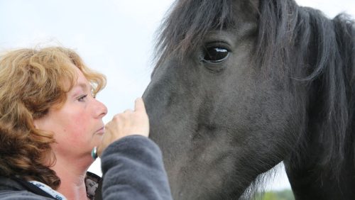 Coach-Pauline-Moorees-Coaching-Weert-4956