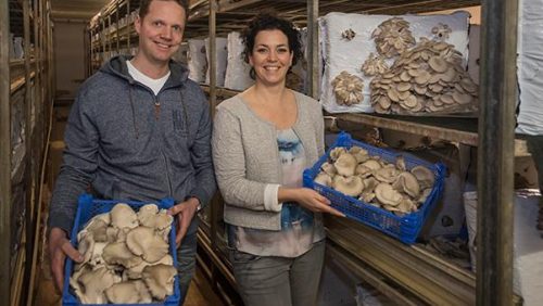 Coen-Verkooijen-AH-Lente-