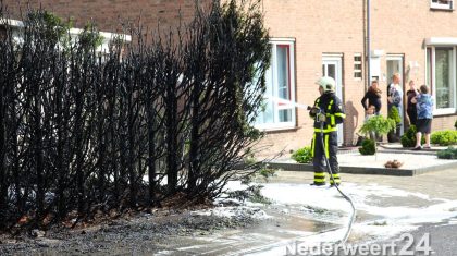 Coniferenhaag volledig afgebrand in Groenstraat Weert