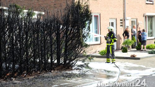 Coniferenhaag volledig afgebrand in Groenstraat Weert