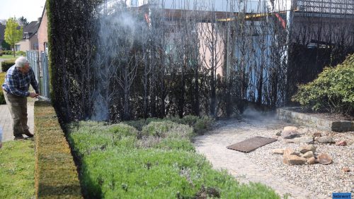 Coniferenhaag-in-brand-Waatskamp-Ospel