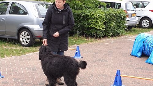 Curcisten-hondenclub-Fun-en-Focus1