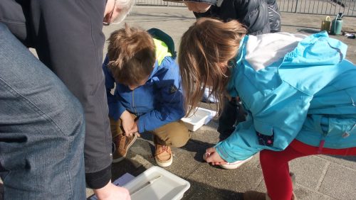 Cursus-IVN-kleutergids