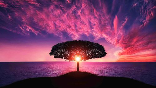 Dankbetuiging-Maria-Frencken-Maas2