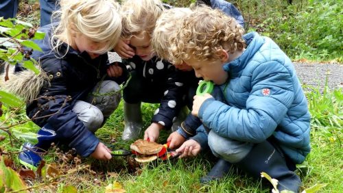 De-Herfstvakantie-beleef-je-buiten