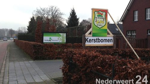 De-Krielkes-Kerstboom-kopen-Nederweert-Eind-419
