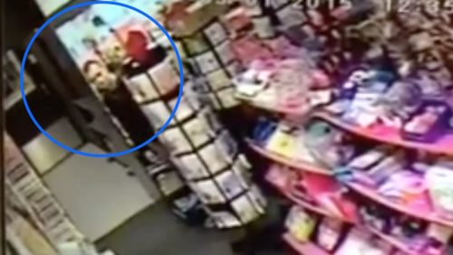 Dief-Bruna-Nederweert