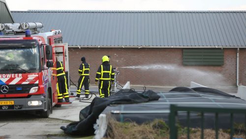 Diesel-lekkage-bij-varkensbedrijf-1