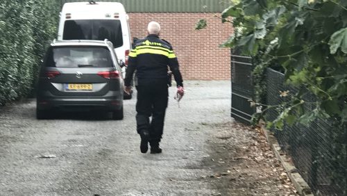 Dode-gevonden-Kelpen-Oler-2