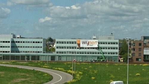 Dode-zaltbommel-uit-Someren