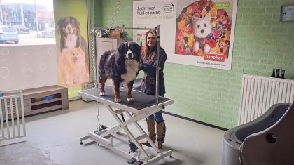 Doe-Het-Zelf-Trimsalon-bij-PetsCo-Nederweert-1 Doe-Het-Zelf-Trimsalon-bij-PetsCo-Nederweert-1