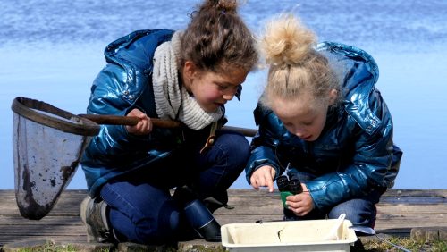Doe-eens-lekker-sPeels-in-De-Groote-Peel-Marijke-Vaes-Schroen-Staatsbosbeheer