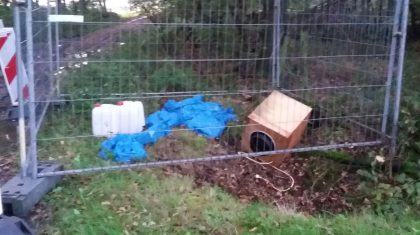 Drugsafval-Banedijk-Nederweert-Eind