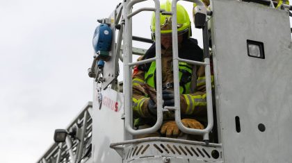 Duif-vast-Zaaimand-Weert-3