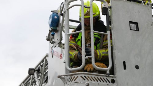 Duif-vast-Zaaimand-Weert-3