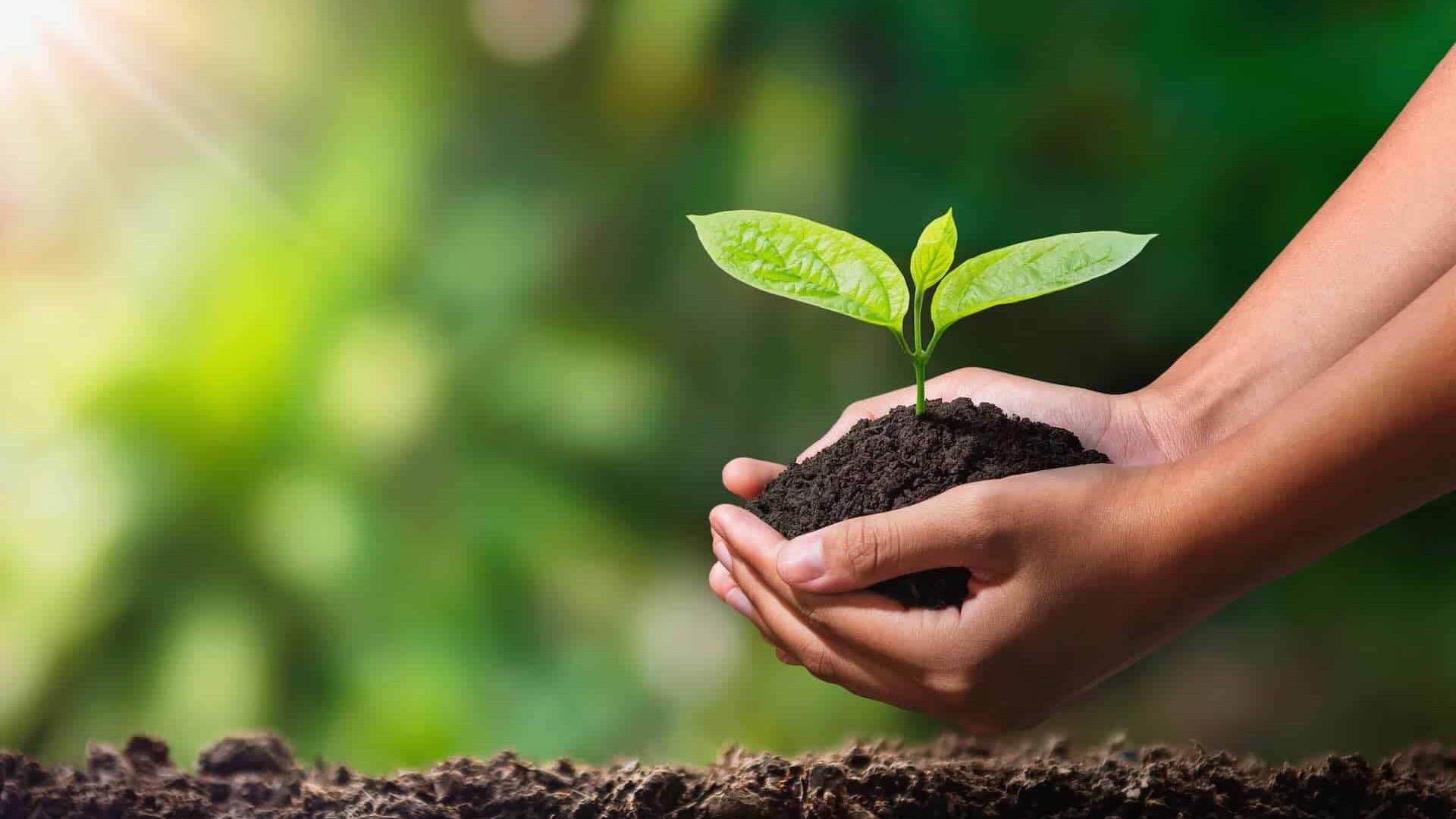 ovelyday12 - depositphotos.com