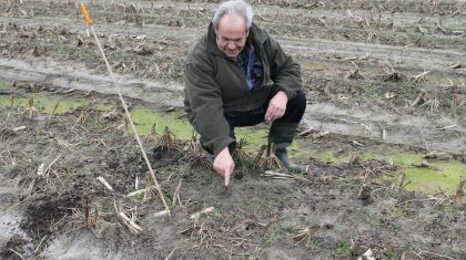 Eerste-kievitsei-Limburg-in-Ospeldijk Eerste-kievitsei-Limburg-in-Ospeldijk