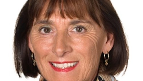 Elly-Scheepers-Dings