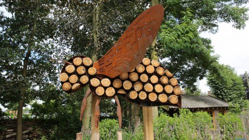 Eynderhoof-augustus-2016-14