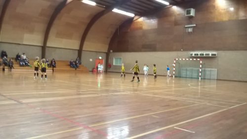 F2-Merefeldia-kampioen-in-de-zaal