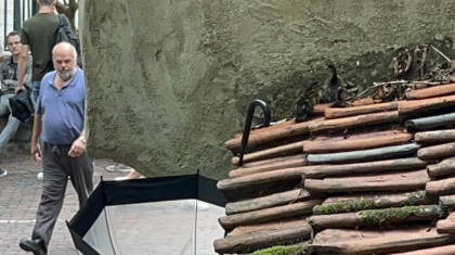 Familie-Slaats-uit-Weert-redt-eendjes-van-dak-in-de-Efteling