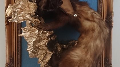 Fieste-Wie-De-Bieste