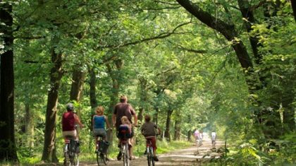 Fietstocht-Bloem-van-Weert